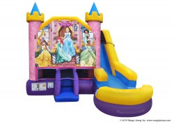 disney princess 6 in 1 combo wet or dry nowm 0 1721156039 Disney Princess 6in1 Combo (Wet or Dry)